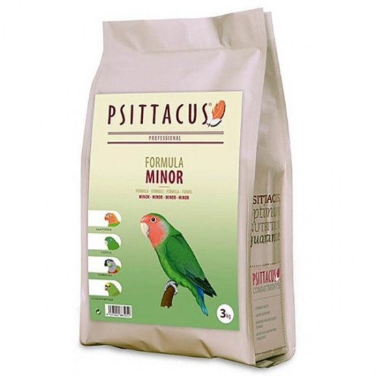 PsittacusMinor.jpg